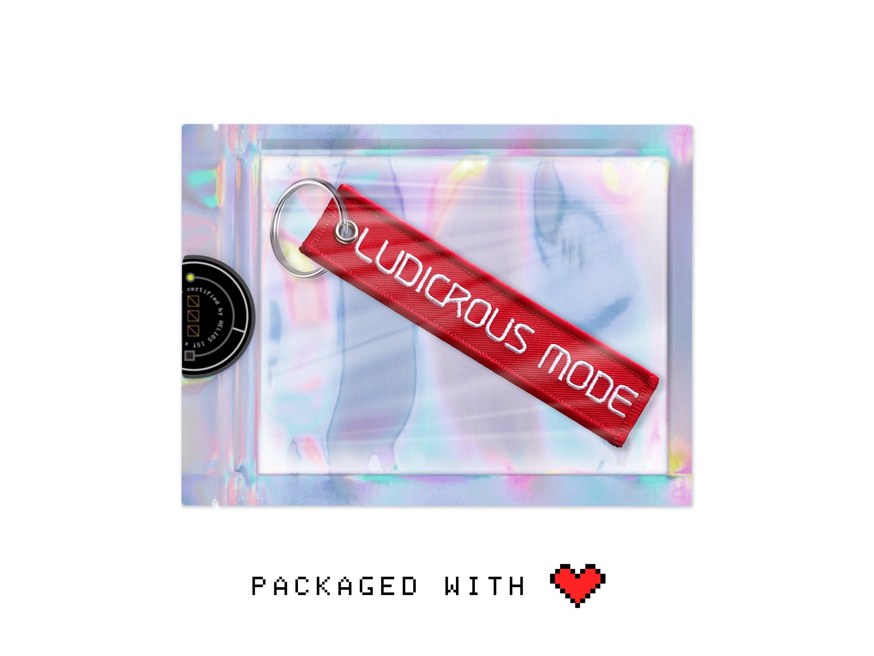 Ludicrous Mode "Remove Before Flight" Keychain