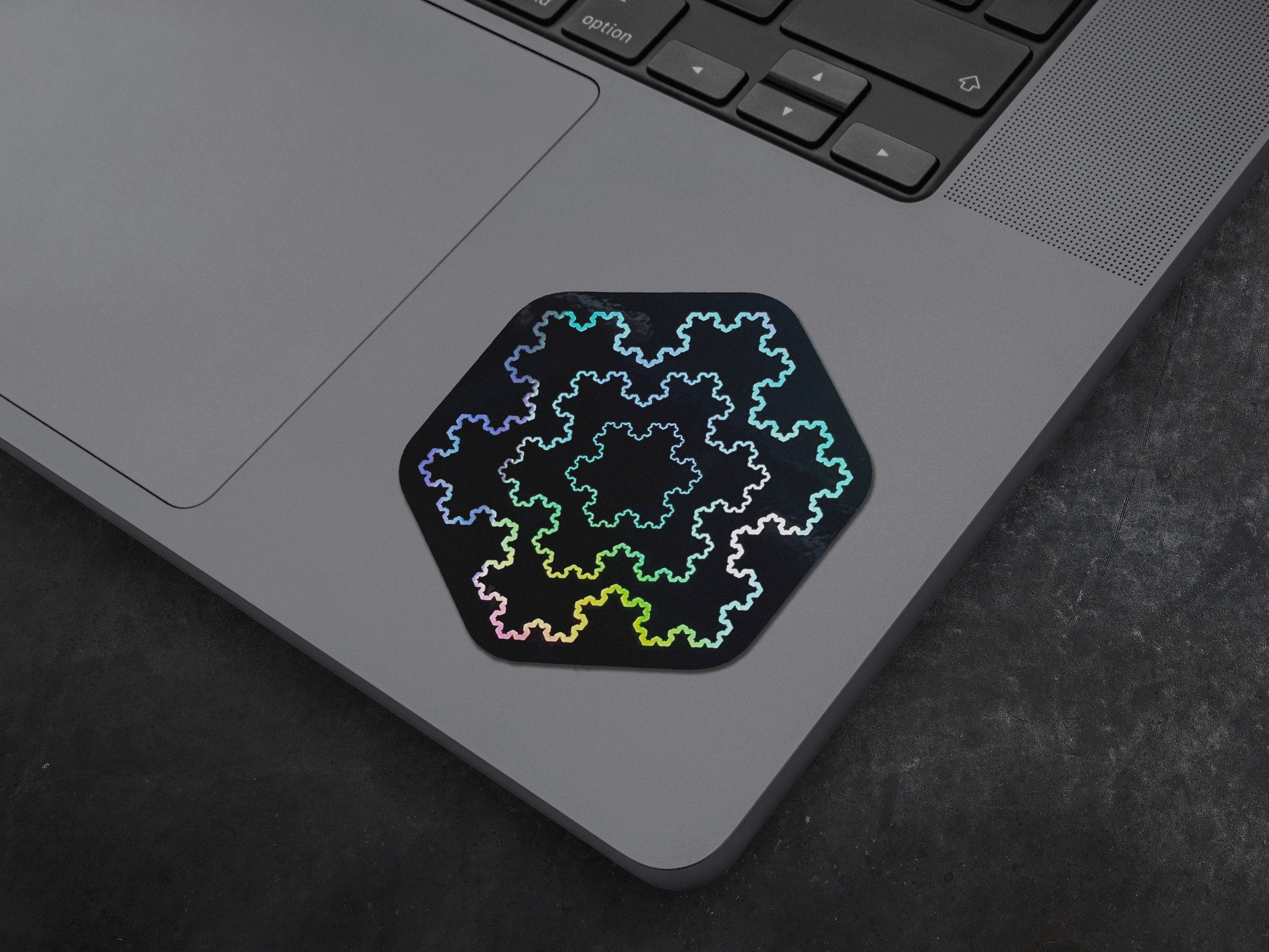 Apollonian Gasket Holographic Vinyl Decal - Mandelbrot & Koch Style Fractal Sticker - Kleinian Group Laptop / Waterbottle Cyberpunk Decal