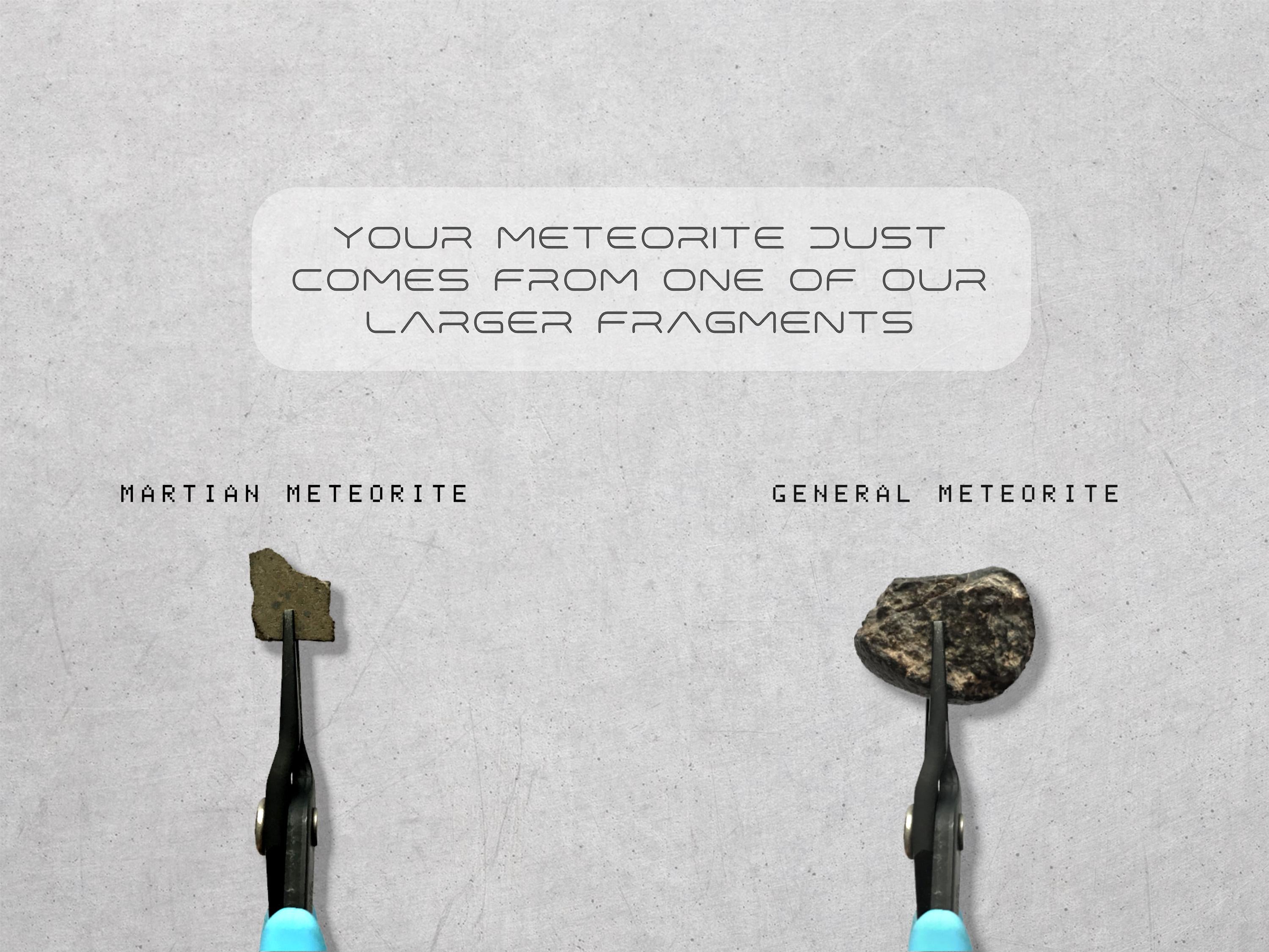 Meteorite Dust Relic Key Pendant – The Sciencey