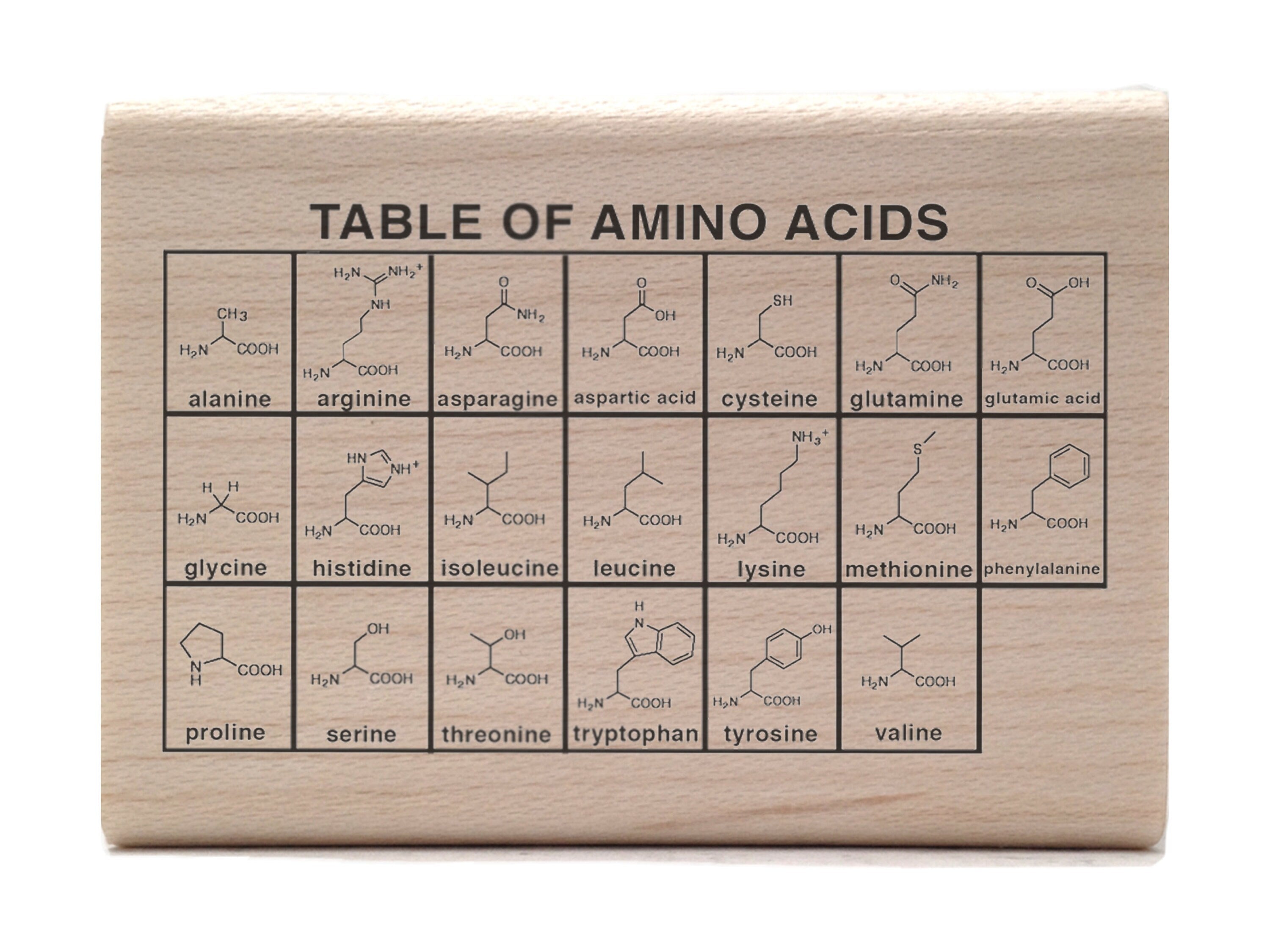 Amino Acid Chart Rubber Stamp - Organic Chemistry Teacher / Science Student - STEM