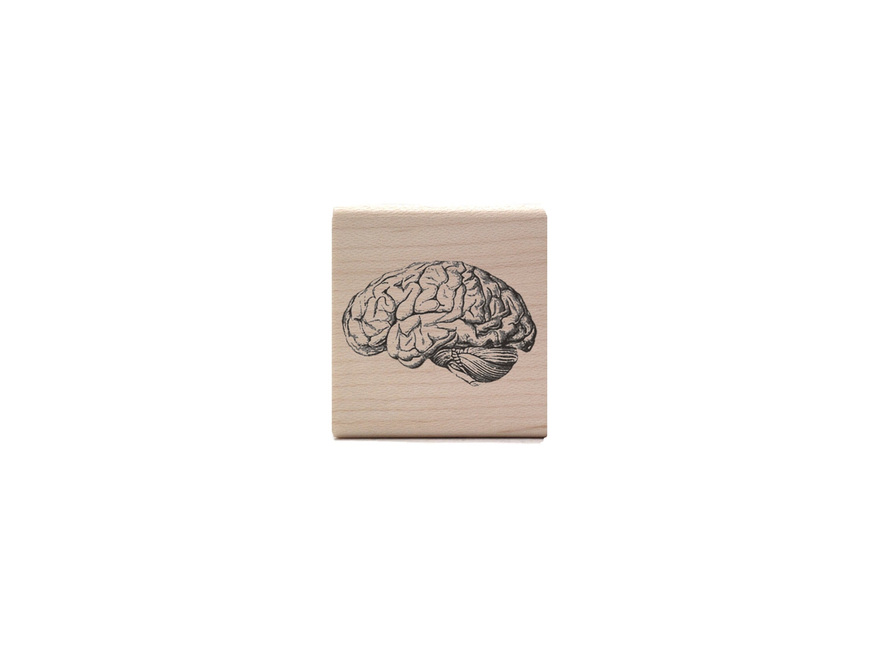 Vintage Brain Rubber Stamp - Biology & Anatomy Stamp - Medical / Neurology STEM Stationery