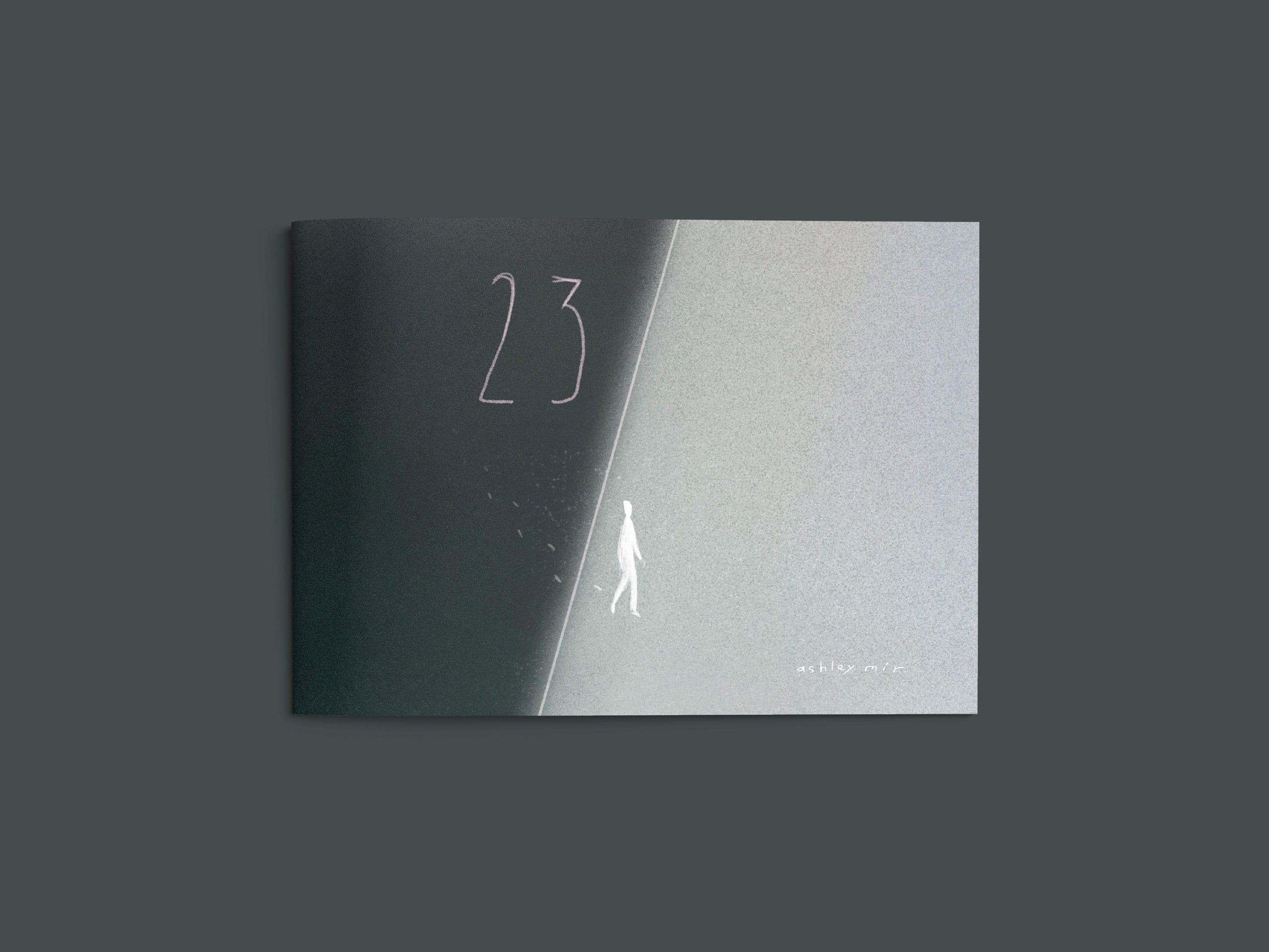 Signed Copy: '23'  A Graphic Novel - Illustrated Artist Book - Wordless Story