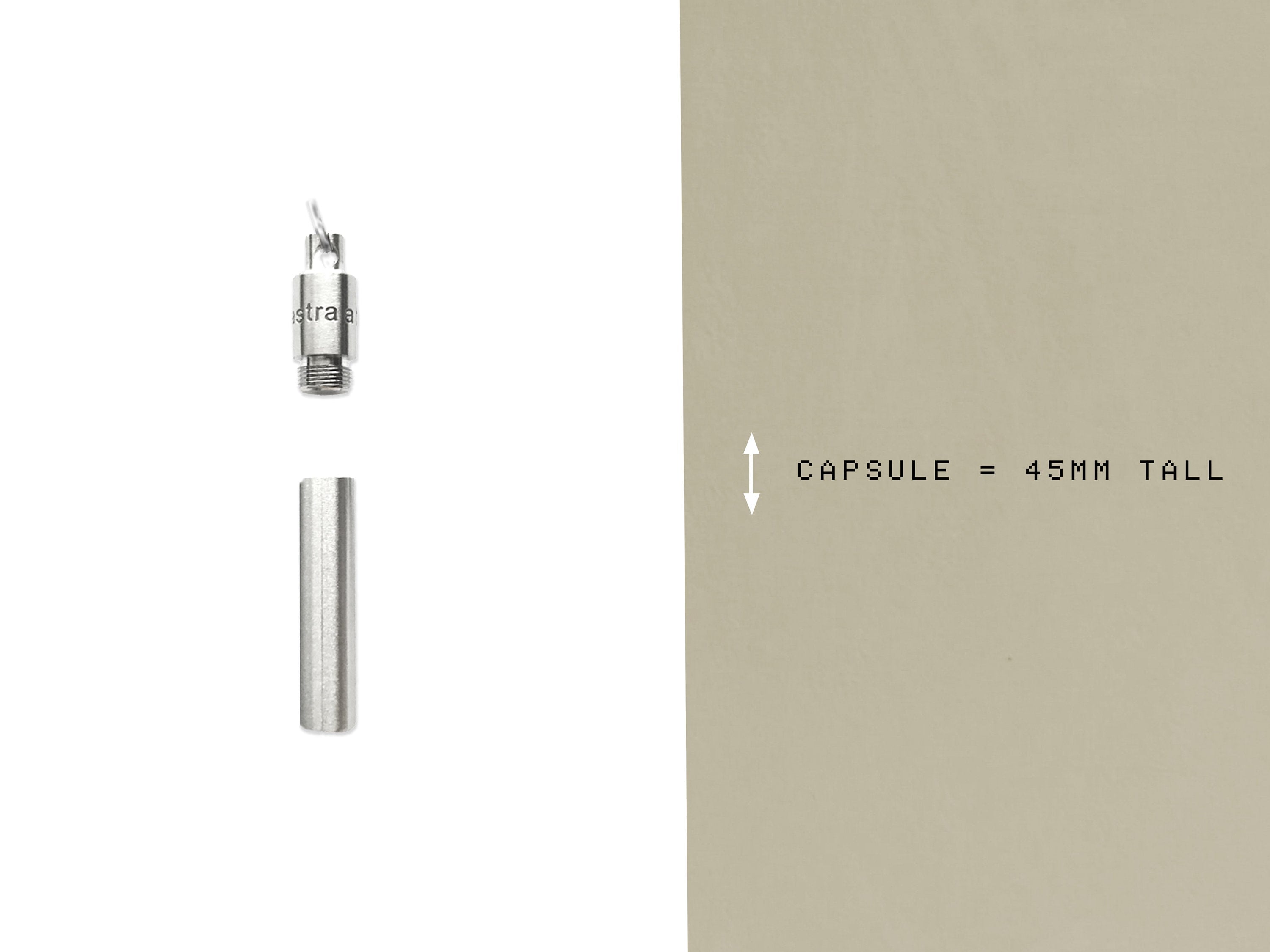 Meteorite Fragment Time Capsule - Men's Stainless Steel Space Keychain / Gift - EDC Carabiner